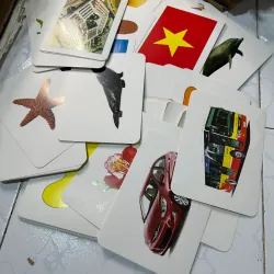 Bộ thẻ dạy trẻ thế giới xung quanh 95 thẻ 1008561