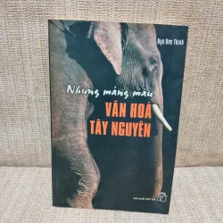 Những mảng màu văn hóa Tây Nguyên - Ngô Đức Thịnh