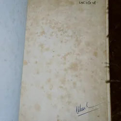 Lạc lối về 698386