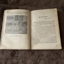 Nhiếp ảnh, 605104