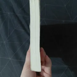 "Central Park" - Guillaumo Musso 976868