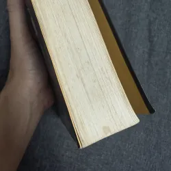 Sói già phố Wall - Jordan Belfort 754318