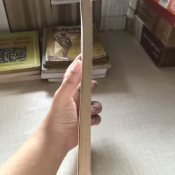 Cách mạng tháng Tám (1945) 961372