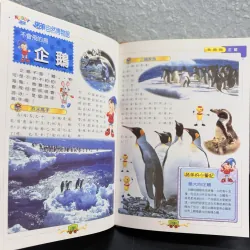 Mua 1 tặng 1 - [Tiếng Trung] Bộ sách Noddy 自然博物館 – Tự nhiên học cho bé 933951