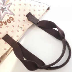 Túi Coach F55598 617832