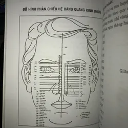 Diện chuẩn điều khiển liệu pháp 736736