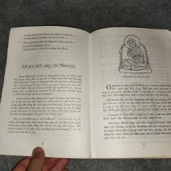 SƯ TỬ TUYẾT BỜM XANH 570802