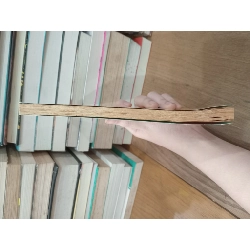 DANNY THE CHAMPION OF THE WORLD - Roald Dahl 141900