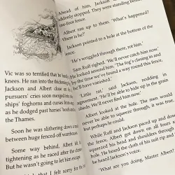 Chimney Child: A Victorian Story 972768