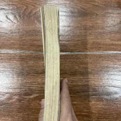 LỊCH SỬ VĂN HỌC PHÁP THẾ KỶ XIX (k1) 766781