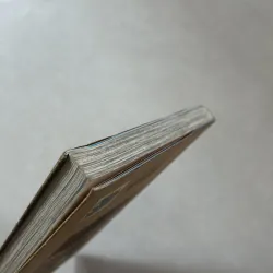 Chainsaw man 4 (không pk) 960727