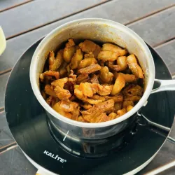 Bếp từ đơn Kalite Power S8 792931