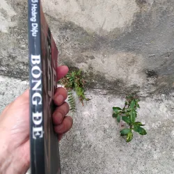 Bóng đè tập truyện của Đỗ Hoàng Diệu  1029199