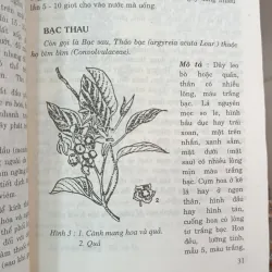 CÂY THUỐC TRỊ BỆNH THÔNG DỤNG - VÕ VĂN CHI 746969