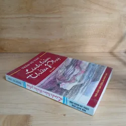 Tiểu Thuyết Linh Hồn Thiếu Phụ - Trần Tử Văn 603831