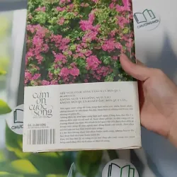 Cảm Ơn Cuộc Sống Một Lần Nữa 1018888