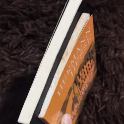 Combo Herman Hesse 996749