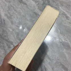 Sự cám dỗ cuối cùng - Diệp Lạc Vô Tâm 959884