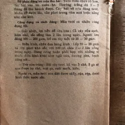 Cây thuốc gia đình - Đỗ Huy Bích  1010155