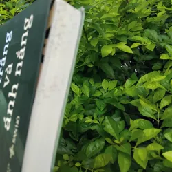 Đen, trắng và ánh nắng tiểu thuyết của Nam Quảng Tử 995298