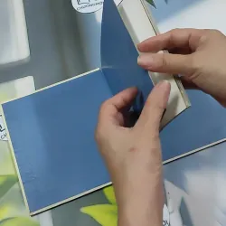 Ý Hoa ( Song Ngữ) - Hồ Anh Thái 750833