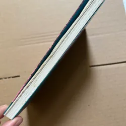 Nhân trường hợp chị thỏ bông 995433