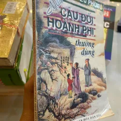 MẪU CÂU ĐỐI HOÀNH PHI THƯỜNG DÙNG - TÂN VIỆT, THIỀU PHONG