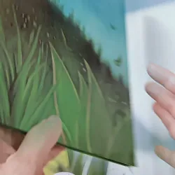 [Tặng nẹp góc] Truyện thiếu nhi Hàn Quốc: Moyamo Anu 24 -  모야모 아누와: 불행을 찾아간 원숭이;. 지혜의 열쇠 732017