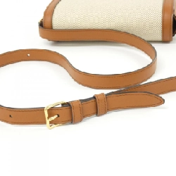 Túi xách vai Celine Teen Triomphe 188882BGI 611504