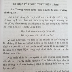 Phong Thủy Vườn Cảnh quan - Nghệ thuật thiết cảnh quan hài hòa 493797