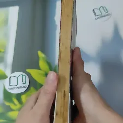 Cảm Ơn Cuộc Sống Một Lần Nữa 1018888