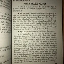 Hoa thơm - phòng và trị bệnh  723110