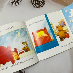 Usborne Phonic reader bộ cơ bản có trang lật mở 546054