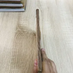 DI TRUYỀN HỌC LÝ THÚ 960251