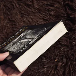 Từ độ xa người 1029824