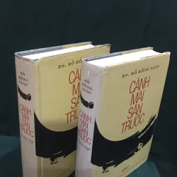 Cành mai sân trước 960651