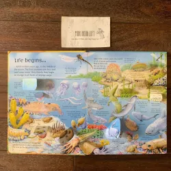 Sách ngoại văn See Inside the World of Dinosaurs, Used, Bìa cứng, Lật mở 756493