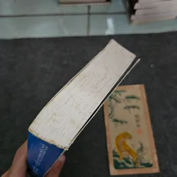 Biển và chim bói cá - Bùi ngọc tấn 736997