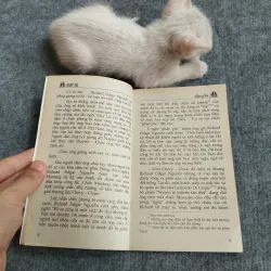 MẬT SỨ - LÂM HÀ 567801