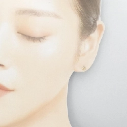 K10YG Bông tai kim cương 0.024CT - Hàng hiệu Chính hãng 871059