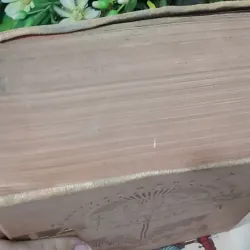 Sách Nouvau Petit Larousse Illustre - Bìa cứng, hình ảnh in nổi bật 708718