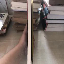 Toàn tập giải thích Hình tượng Hoa sen Phật Giáo 993513