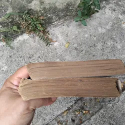 Sống và chết ở Thượng Hải tiểu thuyết của Trịnh Niệm  1019193