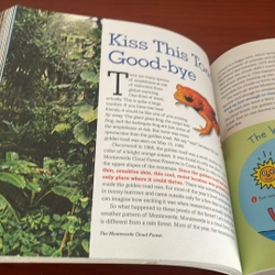 PICTURE BOOK The down to earth guide to global warming 536705