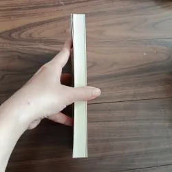 Trở về nhà - đào chi anh 759465