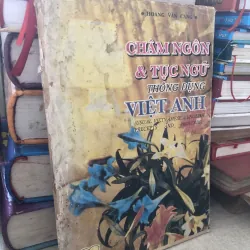 Châm ngôn và tục ngữ thông dụng Việt Anh