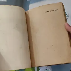 [MIỄN PHÍ BỌC SÁCH] [XƯA] Cánh Buồm Đen (1990) - Lê Minh Hoàng Thái Sơn 997592