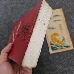 Louise - Didier Decoin 734447