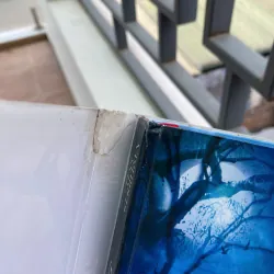 [Sách trinh thám] Khu Vườn Xương - Tess Gerritsen ( sách tốt) 787224