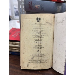 Tình Cát - Nguyễn Quang Lập - Nguyễn Quang Lập 1005808